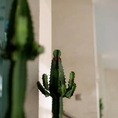 Exe Wellington ホテル 4*