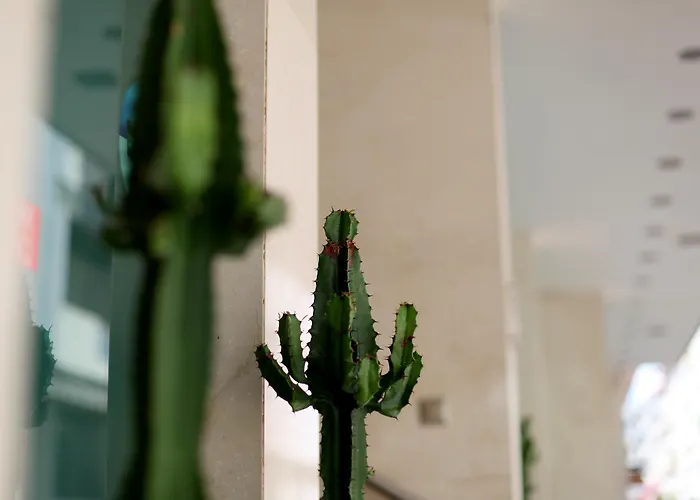 Exe Wellington Hotel 4*